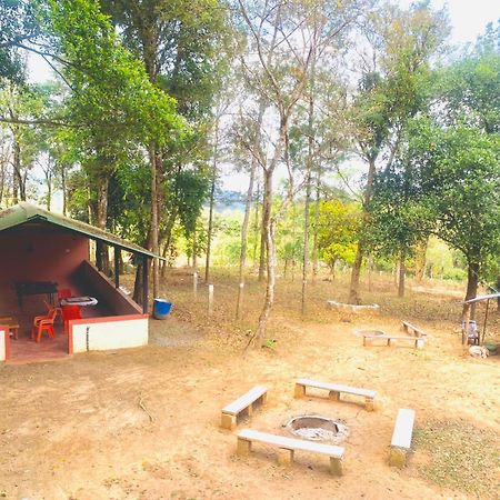Shrenya Orchidz-Coorg Nature Stay Madikeri Kültér fotó