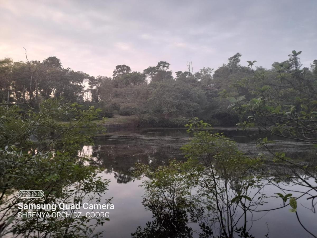 Shrenya Orchidz-Coorg Nature Stay Madikeri Kültér fotó