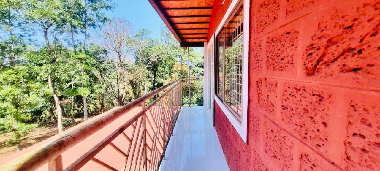 Shrenya Orchidz-Coorg Nature Stay Madikeri Kültér fotó