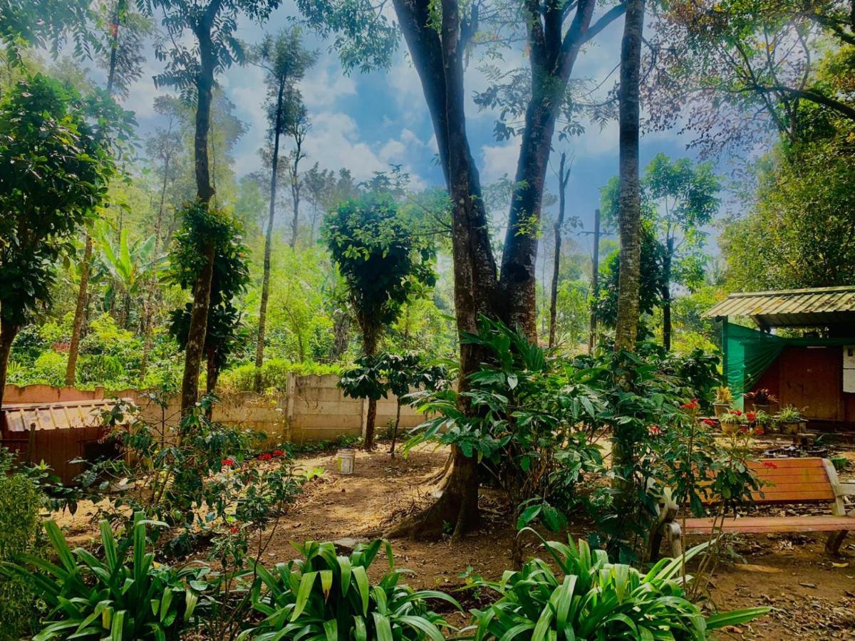 Shrenya Orchidz-Coorg Nature Stay Madikeri Kültér fotó