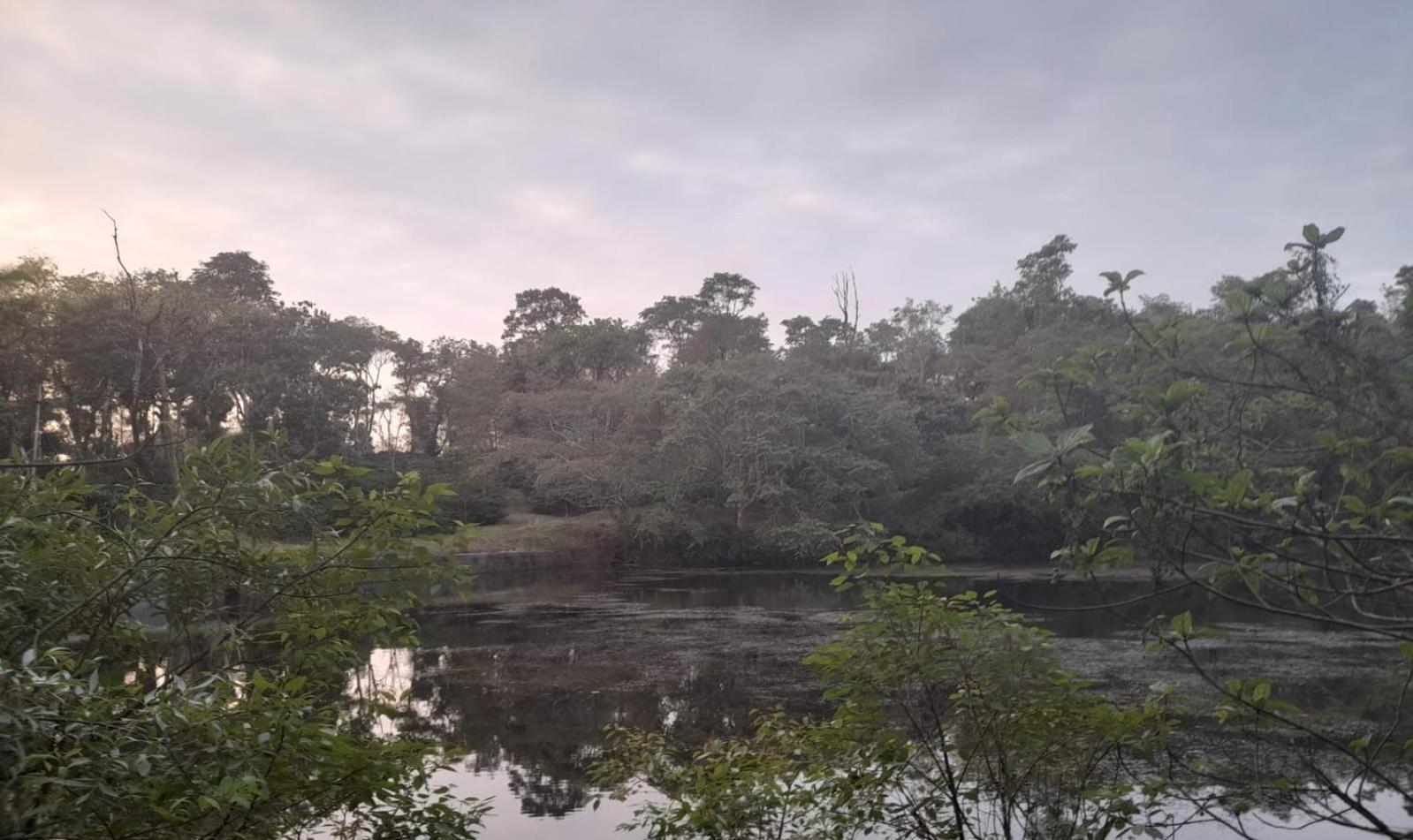 Shrenya Orchidz-Coorg Nature Stay Madikeri Kültér fotó