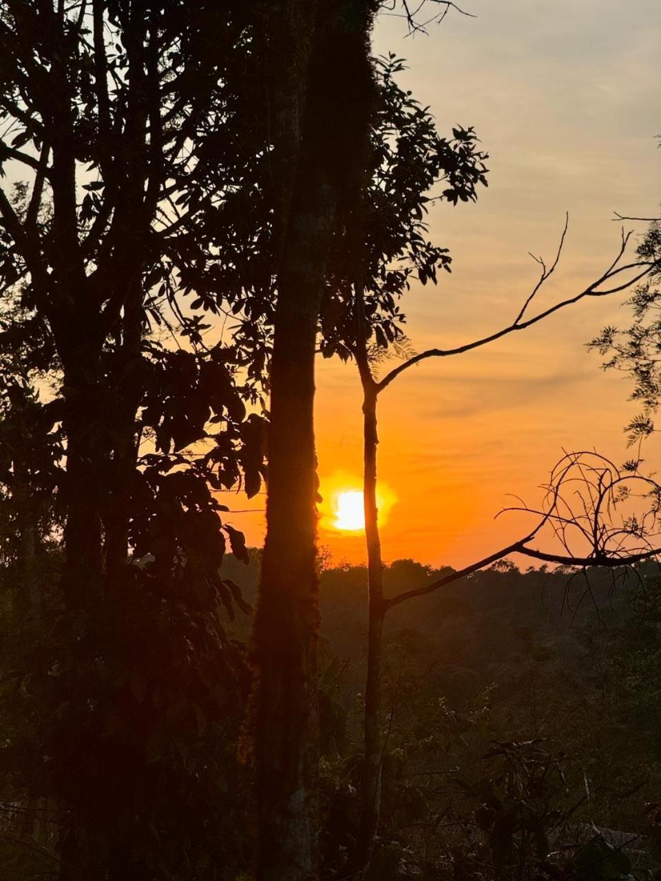 Shrenya Orchidz-Coorg Nature Stay Madikeri Kültér fotó
