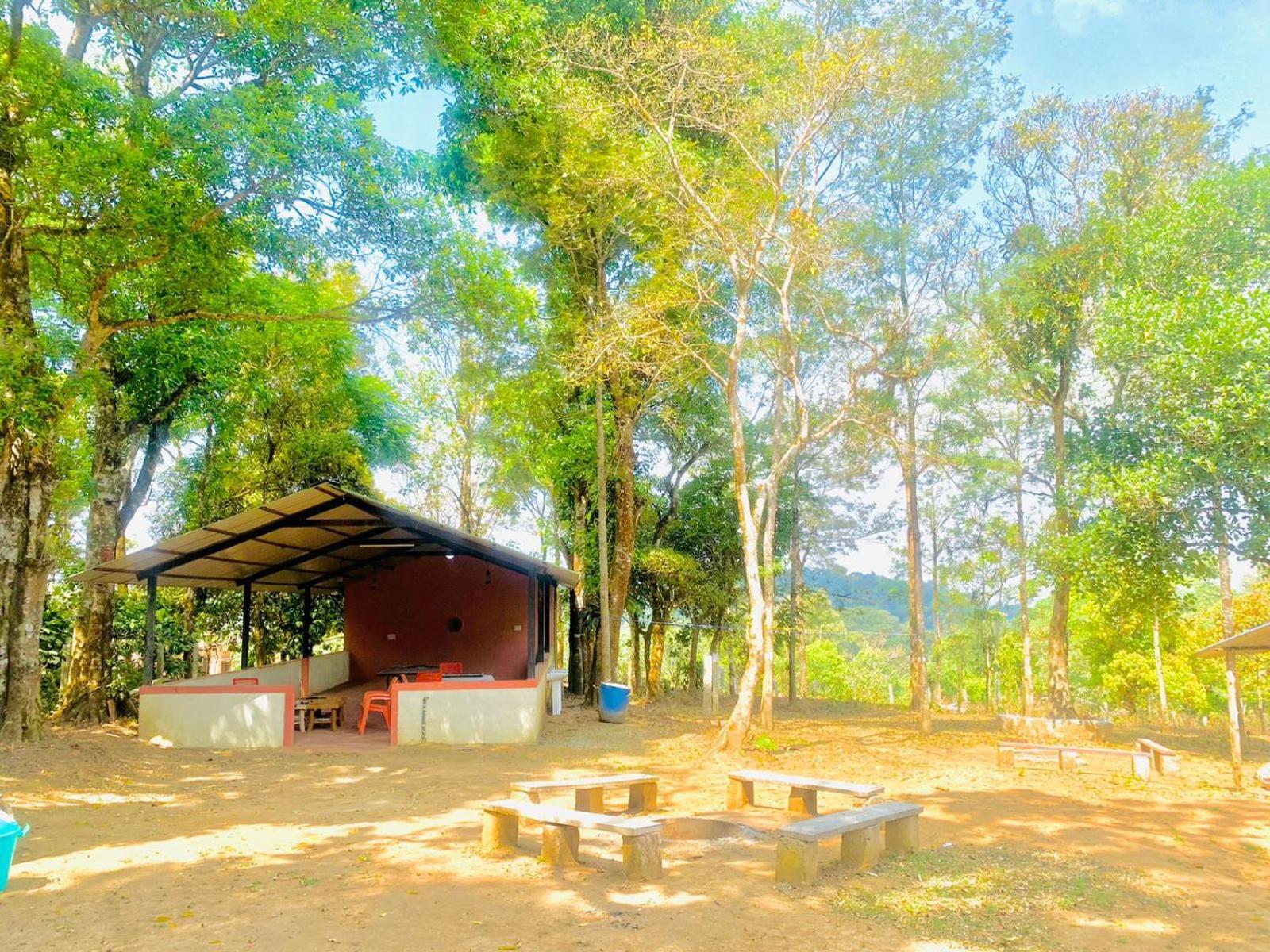 Shrenya Orchidz-Coorg Nature Stay Madikeri Kültér fotó